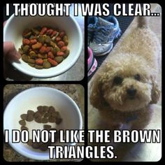 a collage of pictures showing different stages of dog food in various bowls, with the caption i thought it was clear i do not like the brown triangles