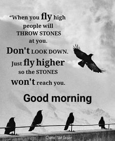 birds sitting on top of a roof with a quote above it that says,'when you fly high people will throw stones at you don't look down just