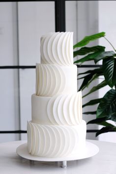 a three tiered white cake sitting on top of a table next to a potted plant