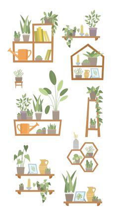 various houseplants and potted plants on shelves