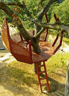 a tree house with a ladder to the top