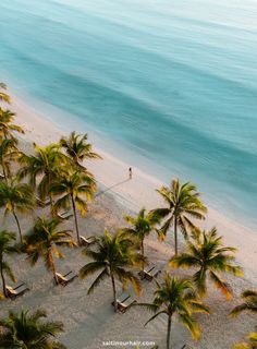 the beach is lined with palm trees and people walking in the sand near the water