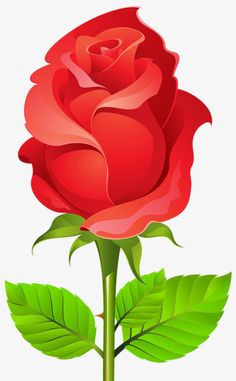 Wallpaper Mawar, Hd Flower Wallpaper, Easy Flower Painting, Rose Clipart