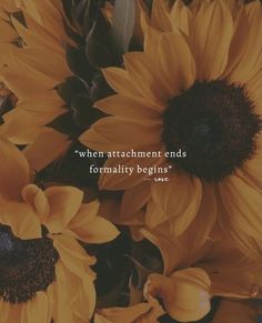 yellow sunflowers with a quote written on the middle and bottom right corner that says, when attachment ends formally begins