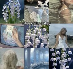 a collage of pictures with flowers and water in them, including the words lieses of the valley