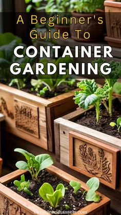 Container Gardening Delicious Vegetables, Vibrant Flowers, Vibrant Flower