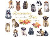 Watercolor Clipart. Cute Dog Ca Dog Cat And Rabbit, Cute Dogs And Cats, Cat And Rabbit, Unique Postcards, Wreath Clipart, Clipart Baby, Dog Quotes Funny, Watercolor Horse, Cat Quotes Funny