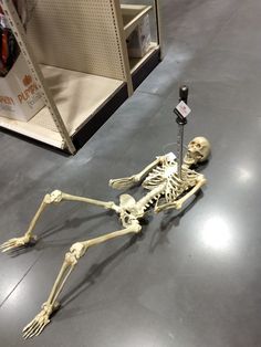 a skeleton laying on the floor in a store