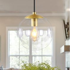 a light that is hanging from a ceiling in a room with plants on the table