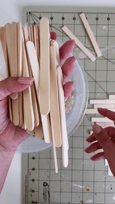 two hands are holding popsicle sticks in front of a plastic container with wooden dowels