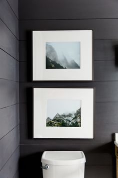 two framed pictures hang on the wall above a white toilet in a bathroom with dark wood paneling