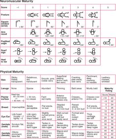 the symbols for different types of electrical devices and their functions are shown in this diagram