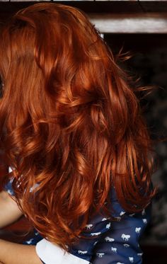 Dicas de Garota: Sobre o meu ruivo Auburn Hair With Highlights, Cheveux Oranges, Henna Hair, Beautiful Red Hair