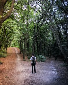 man standing in the middle of woods photo – Free Choice Image on Unsplash Chi Square, Decision Tree, Think And Grow Rich, Questions To Ask, Machine Learning, Problem Solving, Mantra, Life Changes