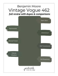 the vintage voque 462 color chart