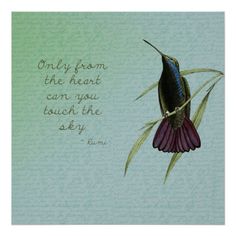 a hummingbird sitting on top of a plant with a quote below it that reads, only from the heart can you touch the sky?