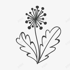 a dandelion flower with leaves drawn in black and white