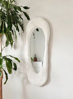 a mirror hanging on the wall next to a potted plant in a white room