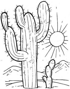 a cactus with the sun in the background