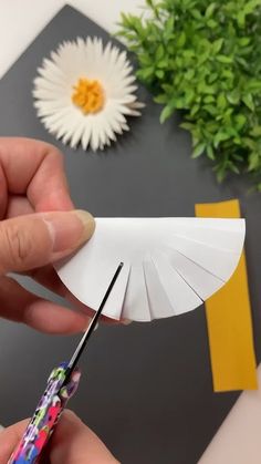 someone is cutting out paper with scissors on a table next to some flowers and plants