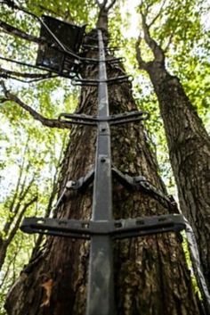 the top of a tall tree with lots of wires attached to it's sides