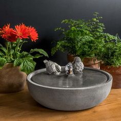 two birds are sitting on the edge of a water fountain next to potted plants