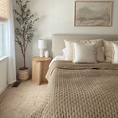 a bedroom with a bed, nightstands and a tree in the window sill