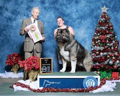 a man and woman standing next to a large dog on top of a wooden table