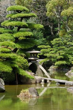 a small pond surrounded by rocks and trees