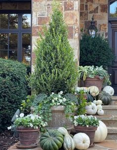 pumpkins and gourds are sitting on the steps