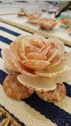 there is a flower made out of seashells on the tablecloth with other shells around it