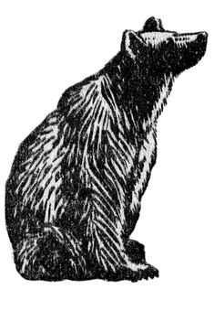 a black and white drawing of a bear sitting on its hind legs, looking up at the sky