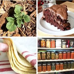 there are pictures of different foods and spices in the kitchen, including chocolate cake, tortilla chips, brownies