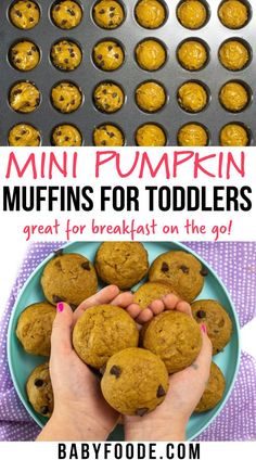 mini pumpkin muffins for toddlers great for breakfast on the go