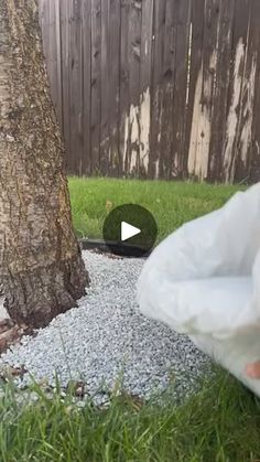 someone is holding a plastic bag in their hand near a tree and a fenced yard