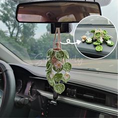 a car dashboard with some plants hanging from it