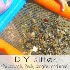 a child is holding an orange carrot in front of some rocks and gravel with the words diy sifter for seashells, fossils, sea glass and more