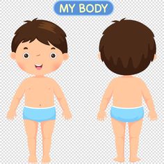 Parts Of The Body, School Pictures, Clip Art Borders, Pre School, Boy Names, A Boy, Transparent Png, The Body, Free Vector Images