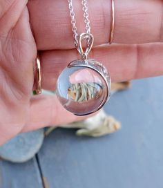 An extra large 20mm crystal clear quartz, tension set in a sterling silver, filigree, crescent moon shaped pendant.   The pendant is polished to a bright, shiny finish. Arrives with the pictured, 24 inch sterling silver rolo chain.  The 8th picture shows the filigree back of the mount. The chain shown is the chain that is included.   There has been no drilling or marring of the quartz whatsoever. The whole quartz sphere is what gives the piece its authenticity. Undrilled whole orbs are the hallm Unique Silver Orb-shaped Jewelry, Unique Round Moon Charm Jewelry, Handmade Silver Sphere Jewelry, Clear Round Pendant Jewelry Gift, Clear Round Pendant Jewelry For Gifts, White Spherical Jewelry Gift, White Spherical Jewelry For Gifts, Clear Round Jewelry For Gifts, Unique Clear Jewelry For Gifts