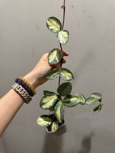 a person is holding up a plant with green leaves and purple beads on its wrist