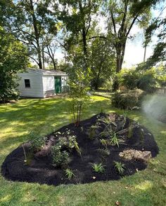 a garden with black mulch and trees in the background