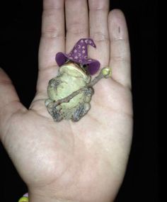 a hand that has a small figurine in it's palm, with a purple hat on top