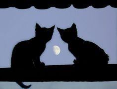 two black cats sitting next to each other on top of a roof looking at the moon