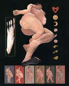 an image of a nude woman with different body types on it's back and sides