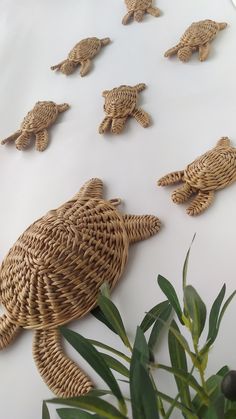 woven sea turtle figurines are displayed on a white surface with green plants in the foreground