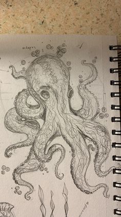 an octopus drawn in pencil on top of a piece of paper