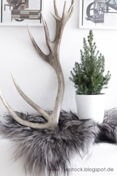 an antler is sitting on top of a table next to a potted plant