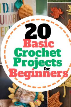 crochet projects for beginners with text overlay that reads 20 basic crochet projects for beginners