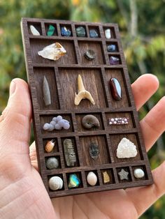 a hand holding a small wooden box with different types of rocks and shells in it