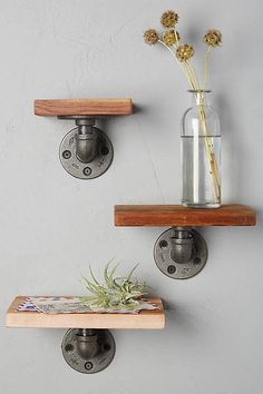 two wooden shelves with plants and vases in them on top of each other, one shelf has an anthropolite